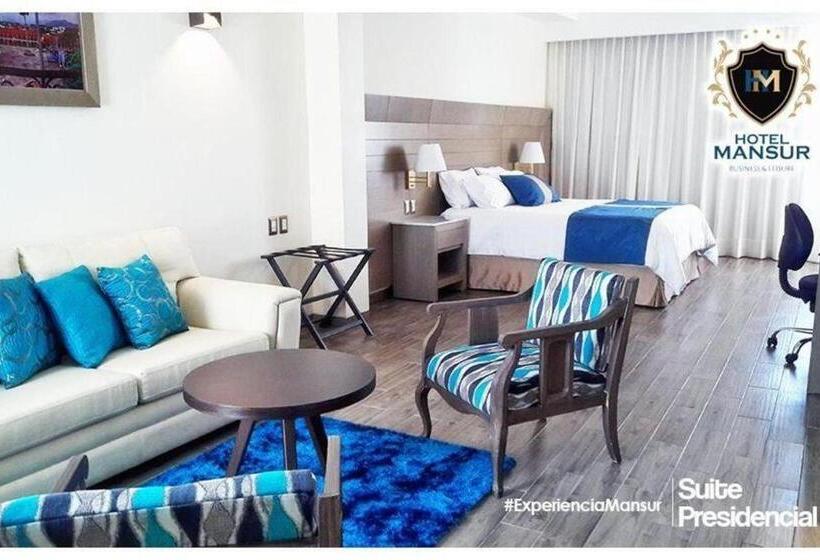 סוויטה נשיאותית, Mansur Business & Leisure