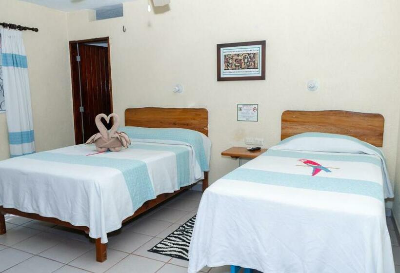 スタンダードルーム, Museo Xibalba