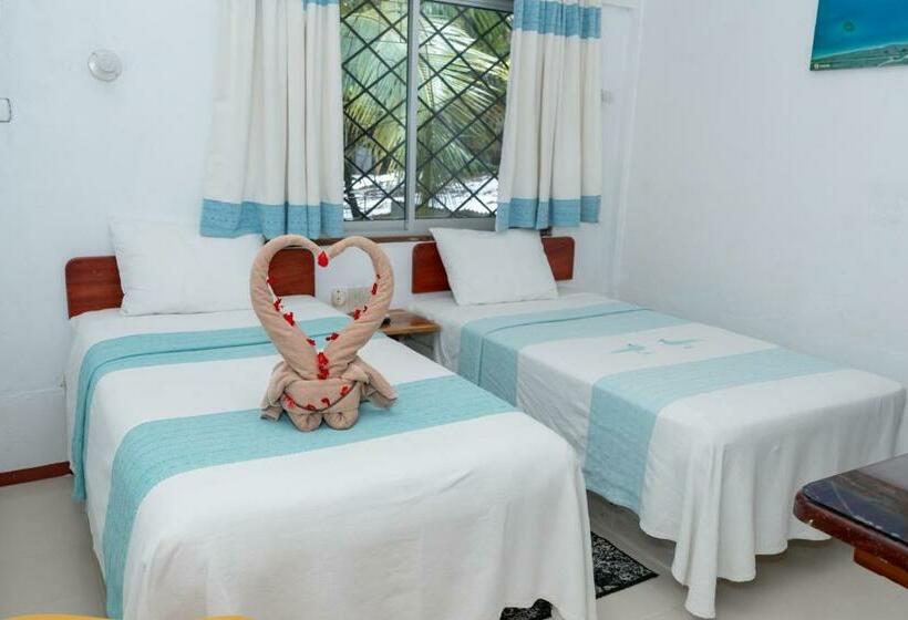 スタンダードルーム, Museo Xibalba