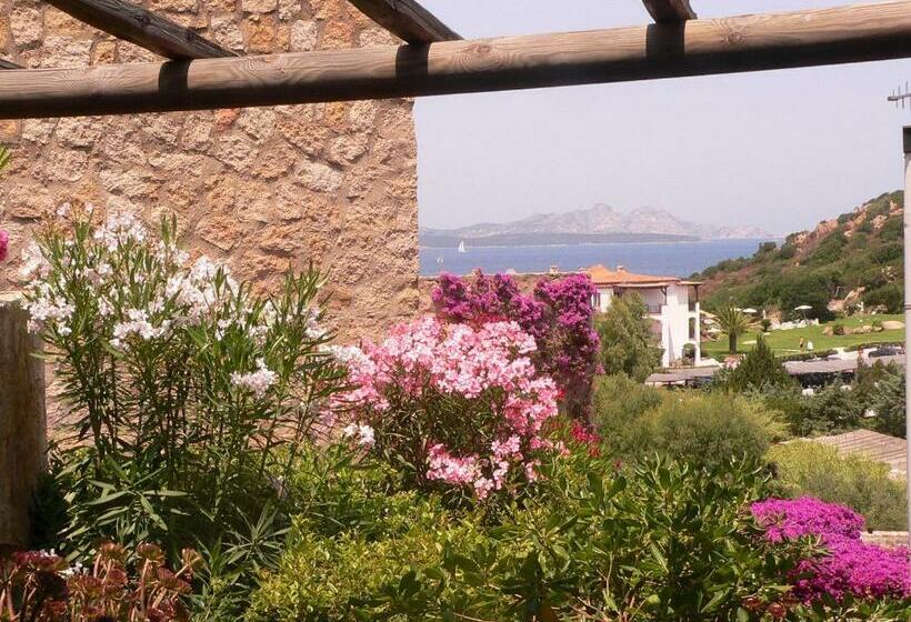 غرفة قياسية مطلّة علي البحر, Olimpia