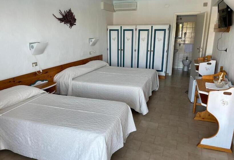 غرفة قياسية ثلاثية مطلة علي حمام السباحة, Olimpia