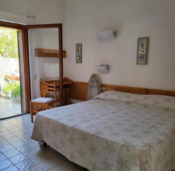 غرفة قياسية مزوَّدة بتراس, Olimpia