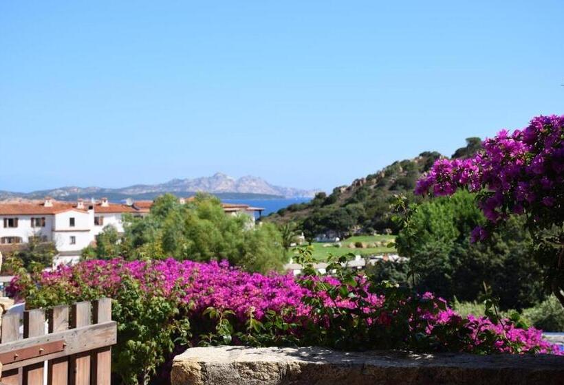 غرفة قياسية مزوَّدة بتراس, Olimpia