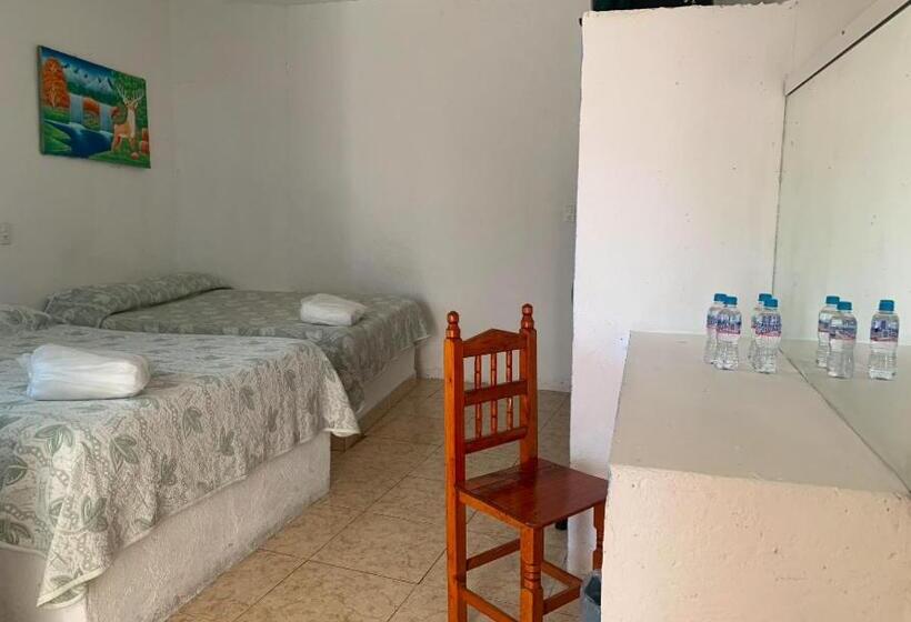 חדר קלאסי לארבעה, Puerto Villamar