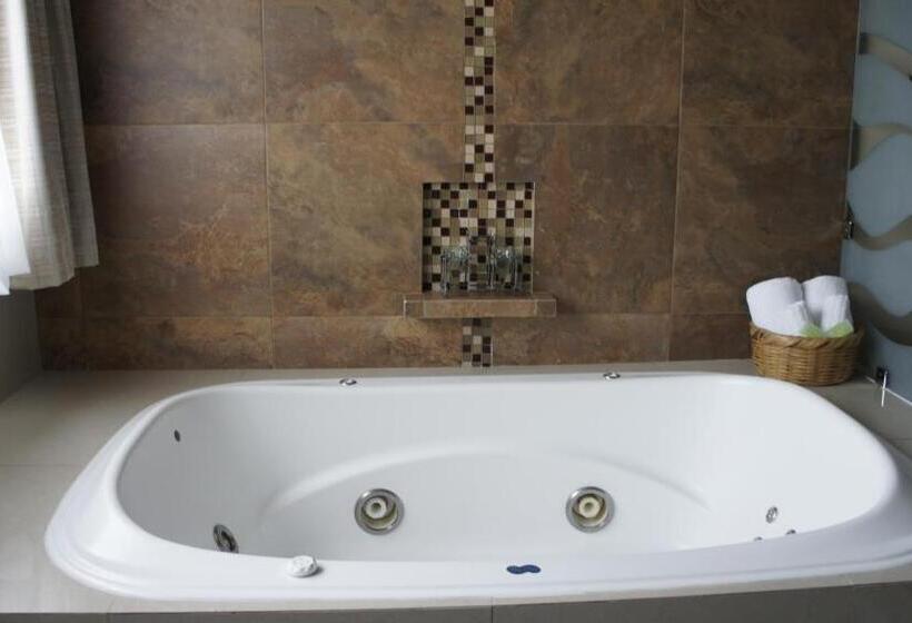 ２ベッドルームアパートメント, Suites Teziutlan