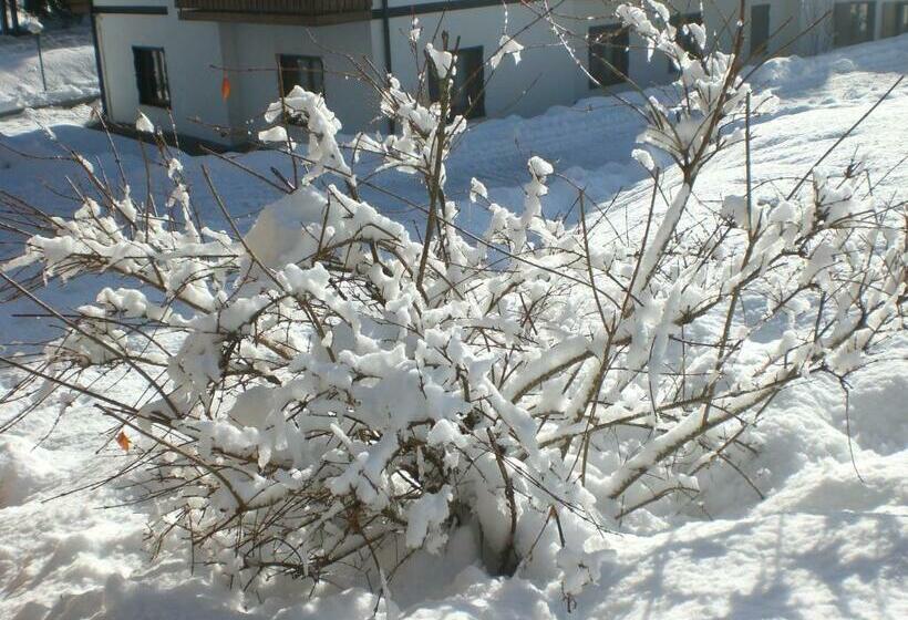 Номер Стандарт, Villa Ines