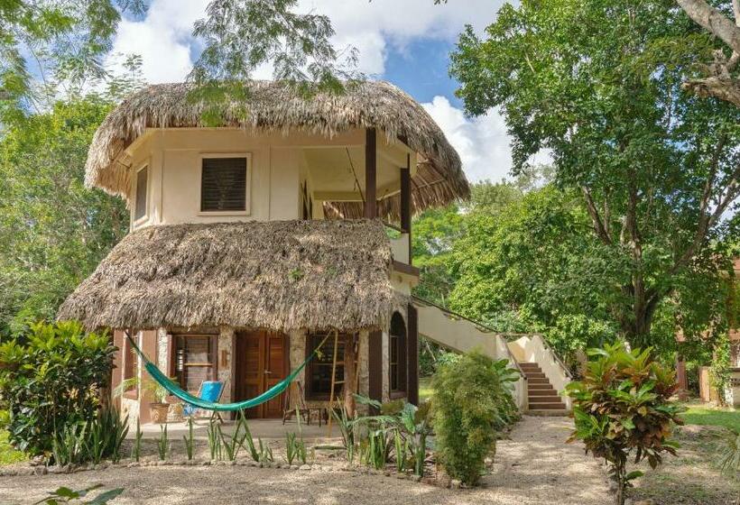 带观景的标准间, Villas Ecotucan