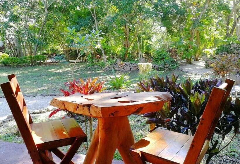 带观景的标准间, Villas Ecotucan