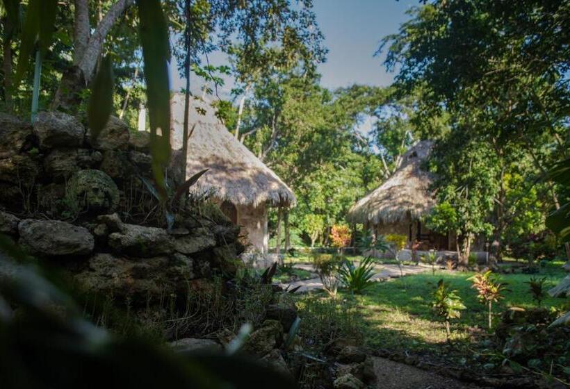 标准房带园景, Villas Ecotucan