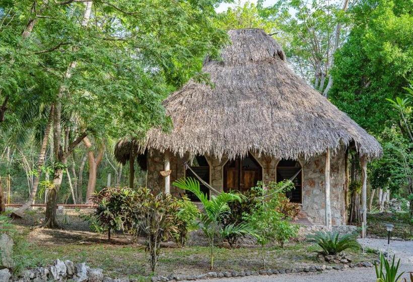 标准房带园景, Villas Ecotucan