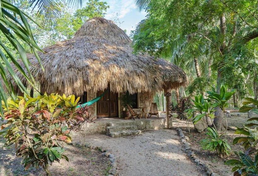 标准房带园景, Villas Ecotucan