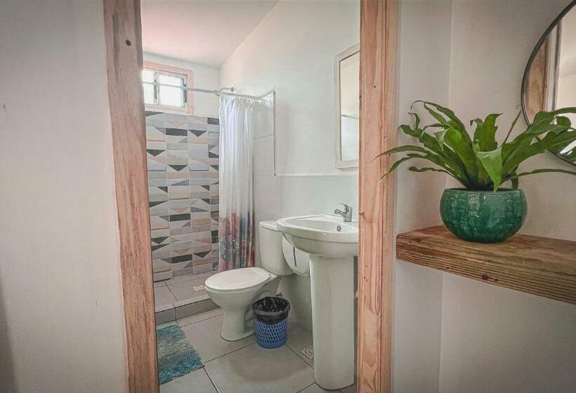 标准间, Compay Hostel La Pedrera