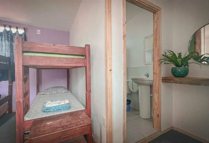 Geteiltes Mehrbettzimmer, Compay Hostel La Pedrera