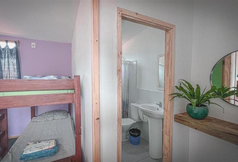 سرير فى غرفة مشتركه, Compay Hostel La Pedrera