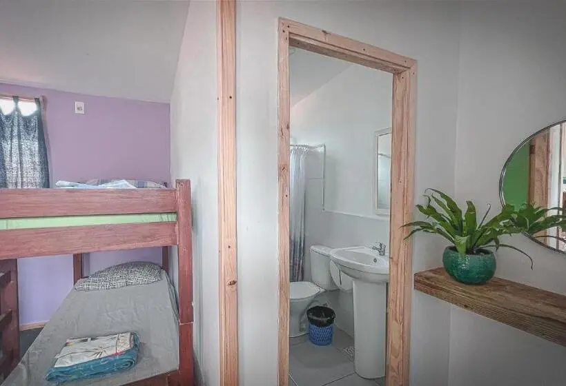 Geteiltes Mehrbettzimmer, Compay Hostel La Pedrera