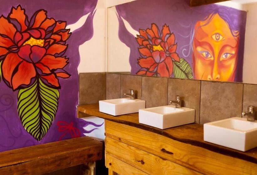 سرير فى غرفة مشتركه, Compay Hostel La Pedrera