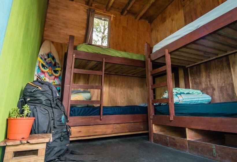 공동 객실, Compay Hostel La Pedrera