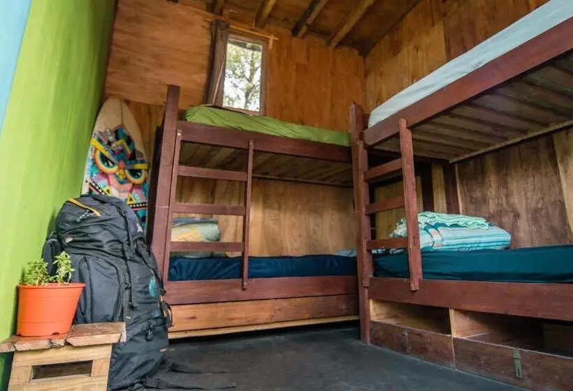 Geteiltes Mehrbettzimmer, Compay Hostel La Pedrera