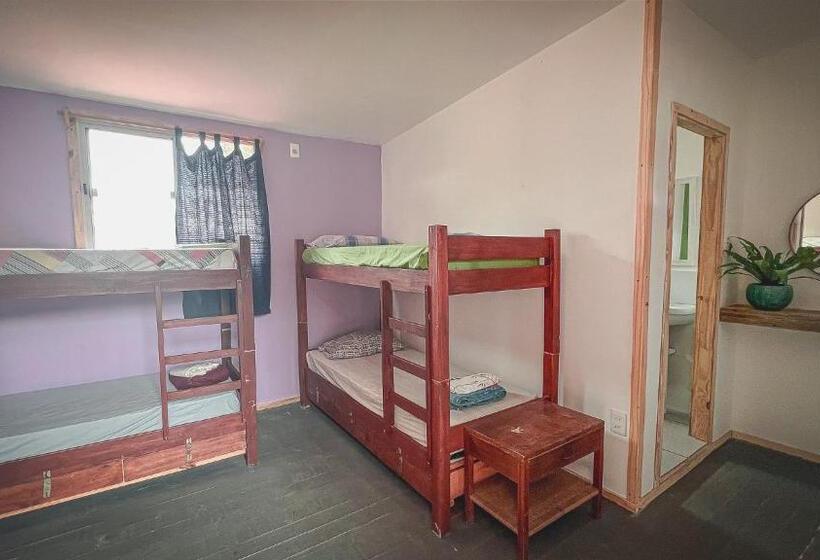 4인용 스탠다드 룸, Compay Hostel La Pedrera