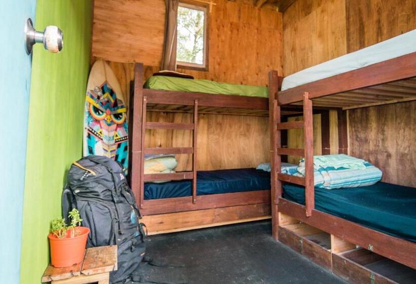 غرفة قياسية, Compay Hostel La Pedrera