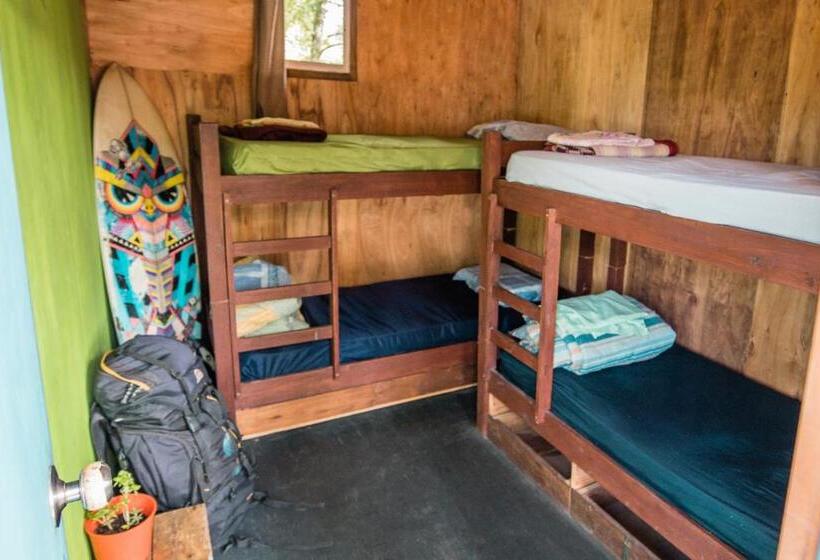 غرفة قياسية ثلاثية حمام مشترك, Compay Hostel La Pedrera