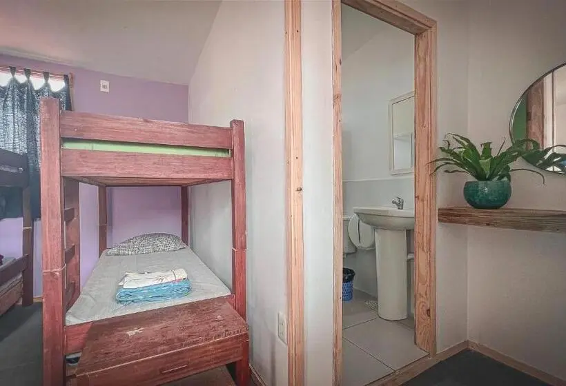 3-Bett-Standardzimmer, Compay Hostel La Pedrera