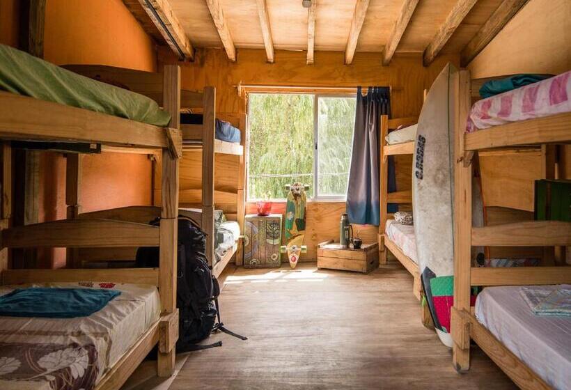 共用房间的床, Compay Hostel La Pedrera