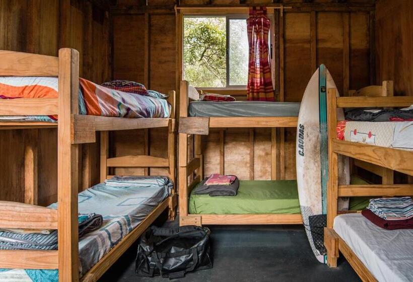 Номер Стандарт Индивидуальный, Compay Hostel La Pedrera