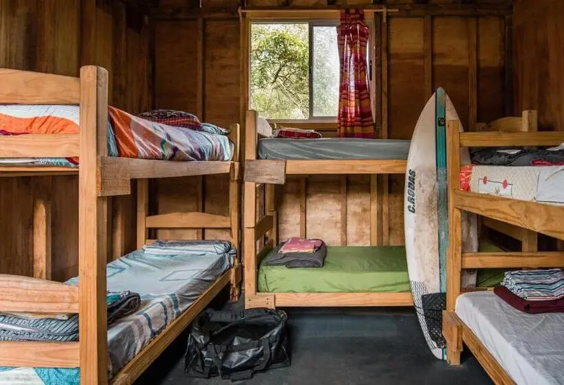 Standardeinzelzimmer, Compay Hostel La Pedrera