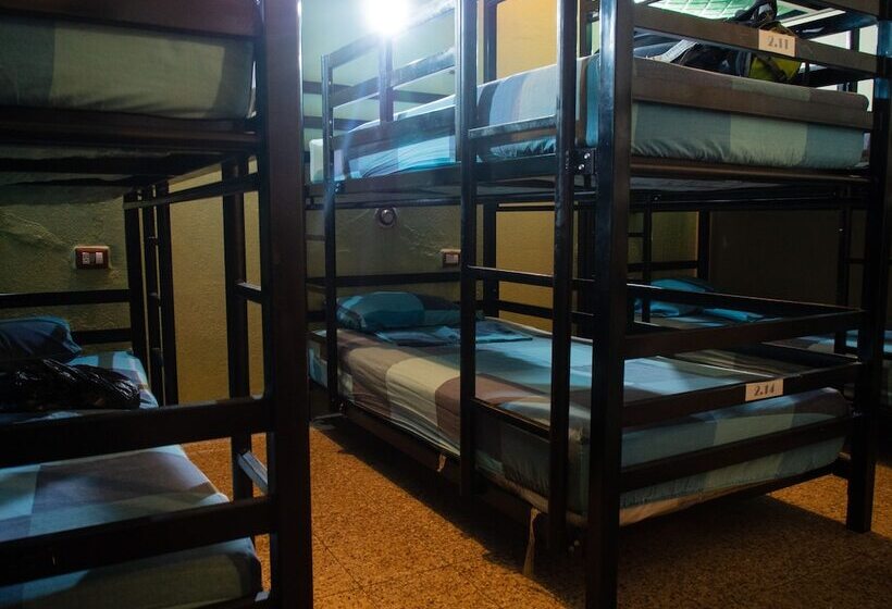 تختخواب در اتاق مشترک, Hostel Yaxha