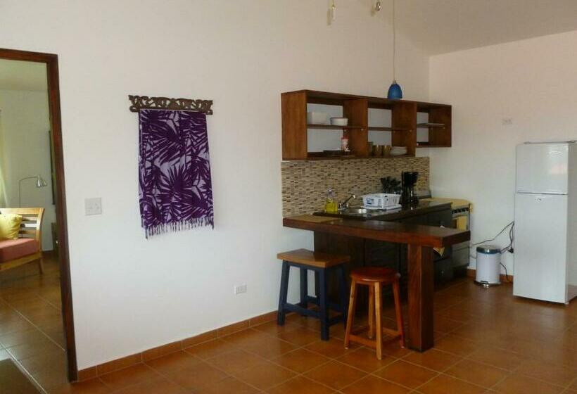 جناح ديلوكس سرير كينج, Isla Verde