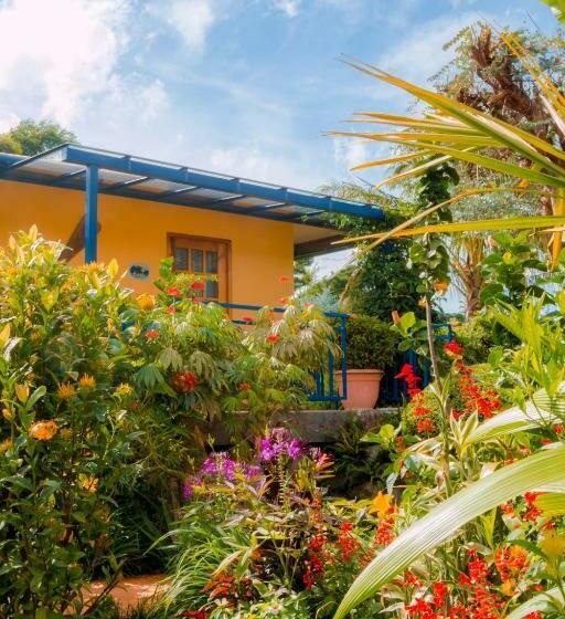 شقة سوبريور غرفة واحدة, Isla Verde