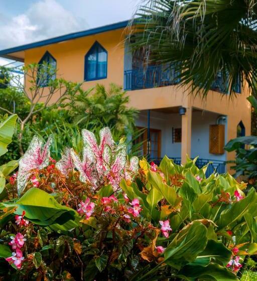 شقة سوبريور غرفة واحدة, Isla Verde