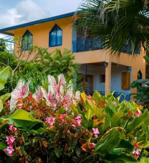 Superior-huoneisto 1 Makuuhuone, Isla Verde