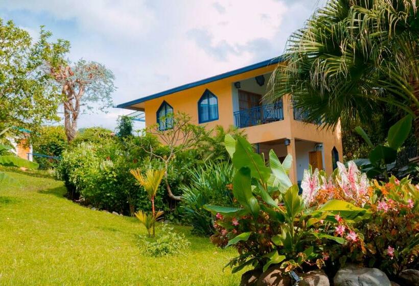 شقة سوبريور غرفة واحدة, Isla Verde