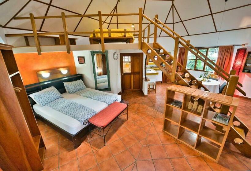 غرفة عائلية, Isla Verde