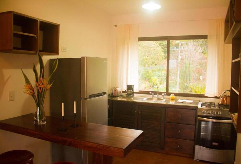 جناح ديلوكس سرير كينج, Isla Verde