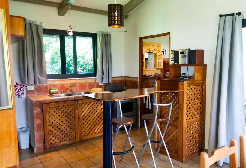 شقة سوبريور غرفة واحدة, Isla Verde