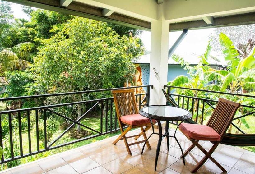 شقة سوبريور غرفة واحدة, Isla Verde