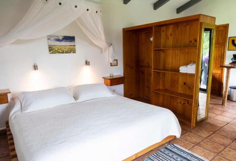 شقة سوبريور غرفة واحدة, Isla Verde