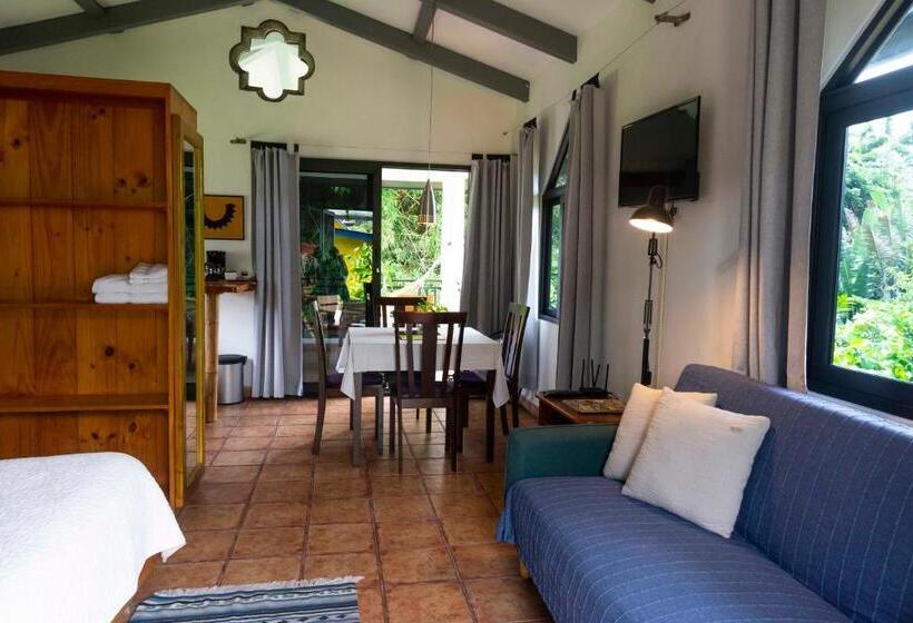 شقة سوبريور غرفة واحدة, Isla Verde