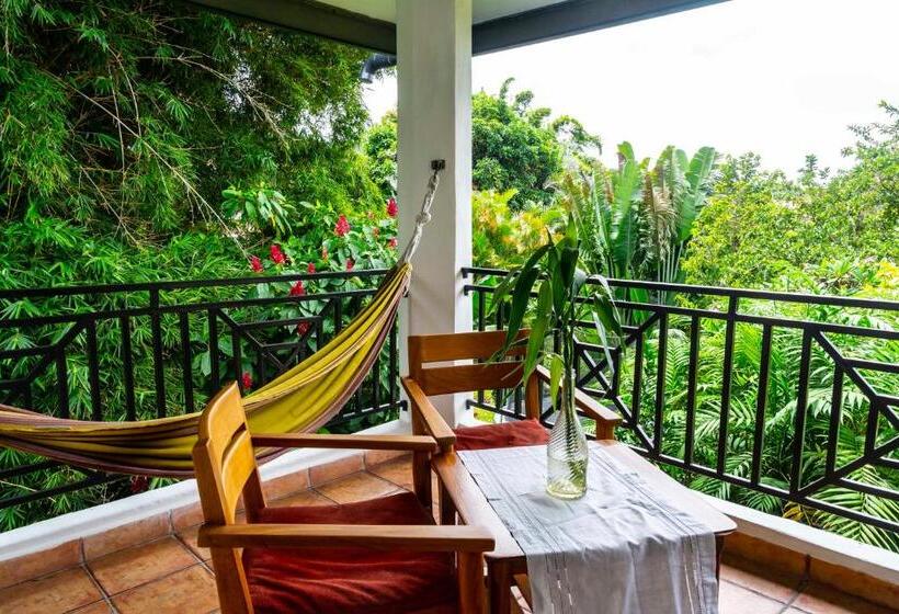 شقة سوبريور غرفة واحدة, Isla Verde