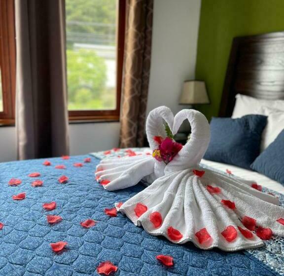 غرفة قياسية, La Casa De La Abuela