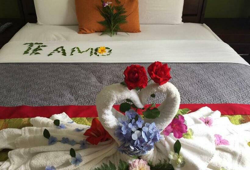 غرفة قياسية, La Casa De La Abuela