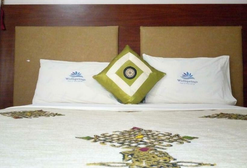 اتاق لوکس, Wellsprings