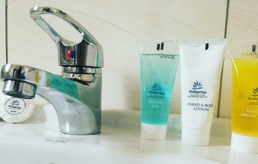 اتاق لوکس, Wellsprings