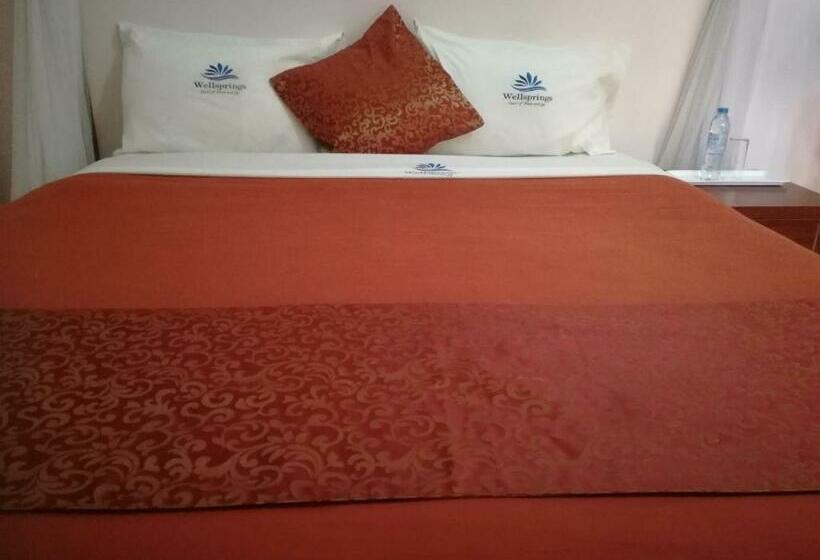 اتاق لوکس یک تخته, Wellsprings