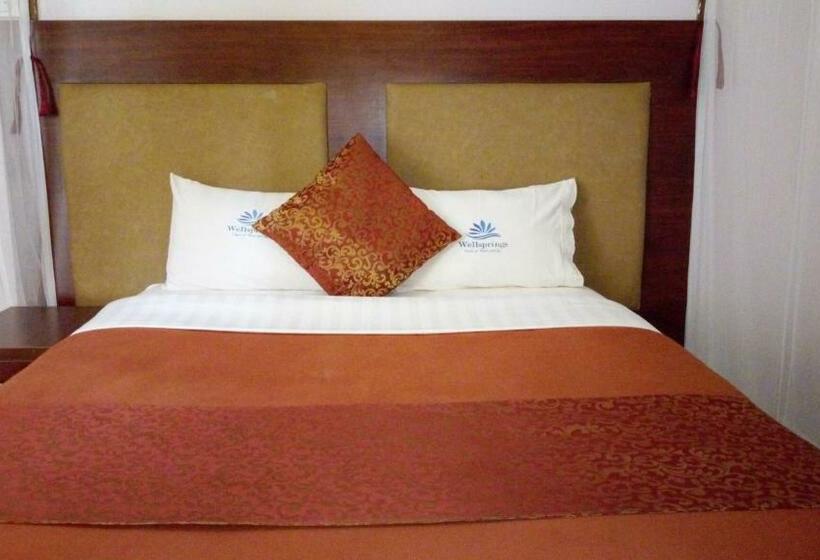 اتاق لوکس یک تخته, Wellsprings