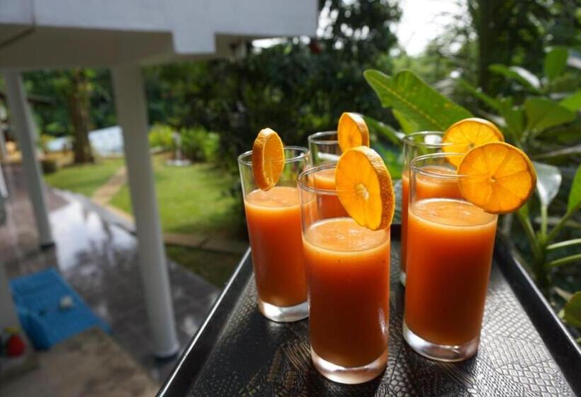 Номер Стандарт Вид на Горы, Green Hill Paradise Villa