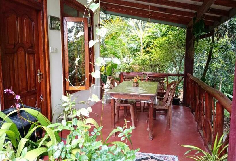 Quarto Deluxe, Littleadems View